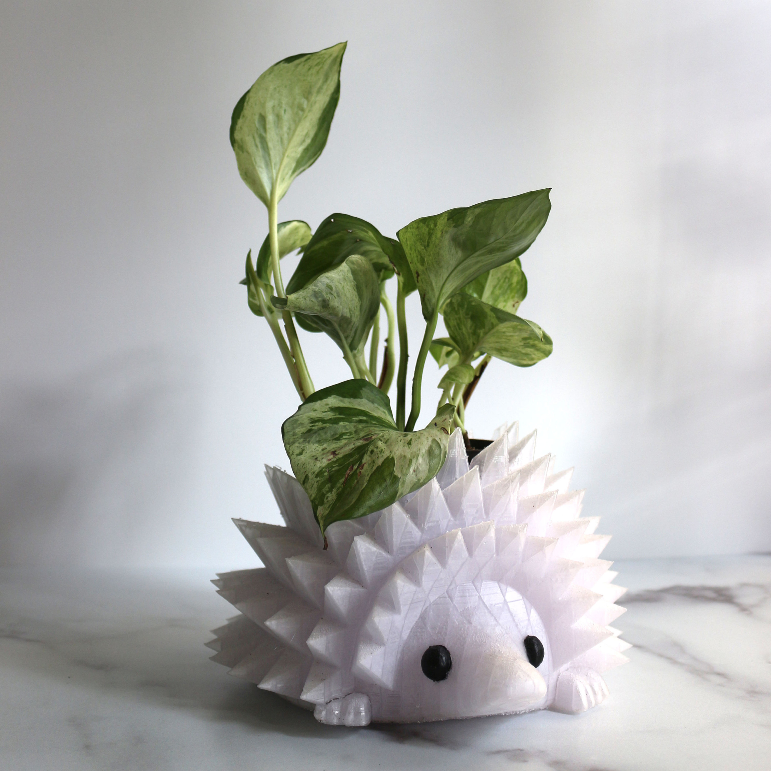Paint Your Own Ceramic Keepsake The Ginormous Hedgehog Planter 